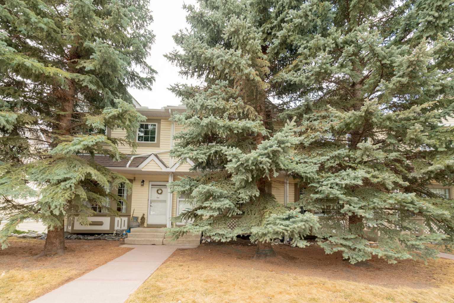 1050 Cougar Creek Drive 4