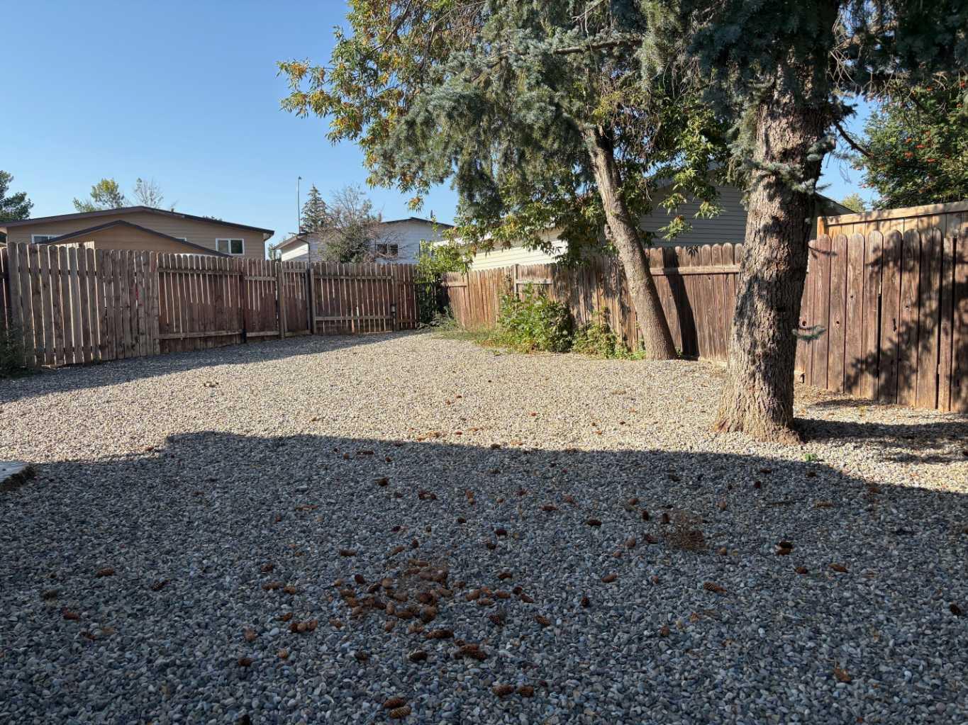 40 Cayuga Crescent W