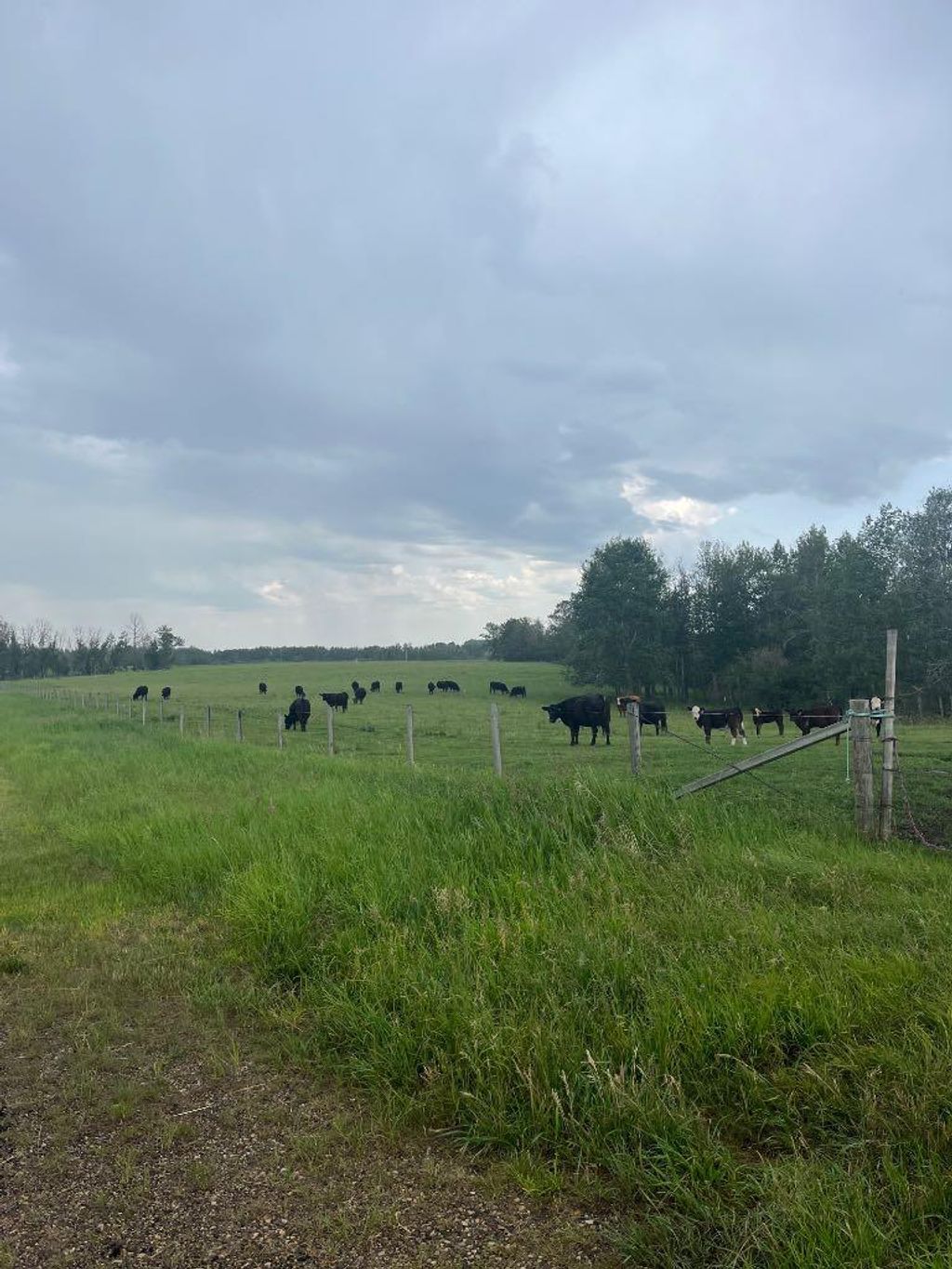 Photo of 70 Acres SE of Innisfial, Rural Red Deer County, AB T4S 0M6 (MLS # A2060975)