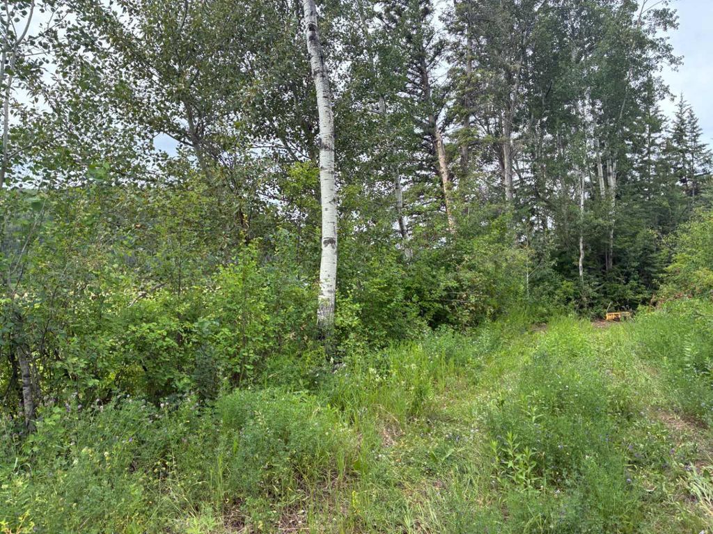 Photo of TWP RD 801A, Rural Fairview No. 136, M.D. of, AB T0H 1L0 (MLS # A2311185)