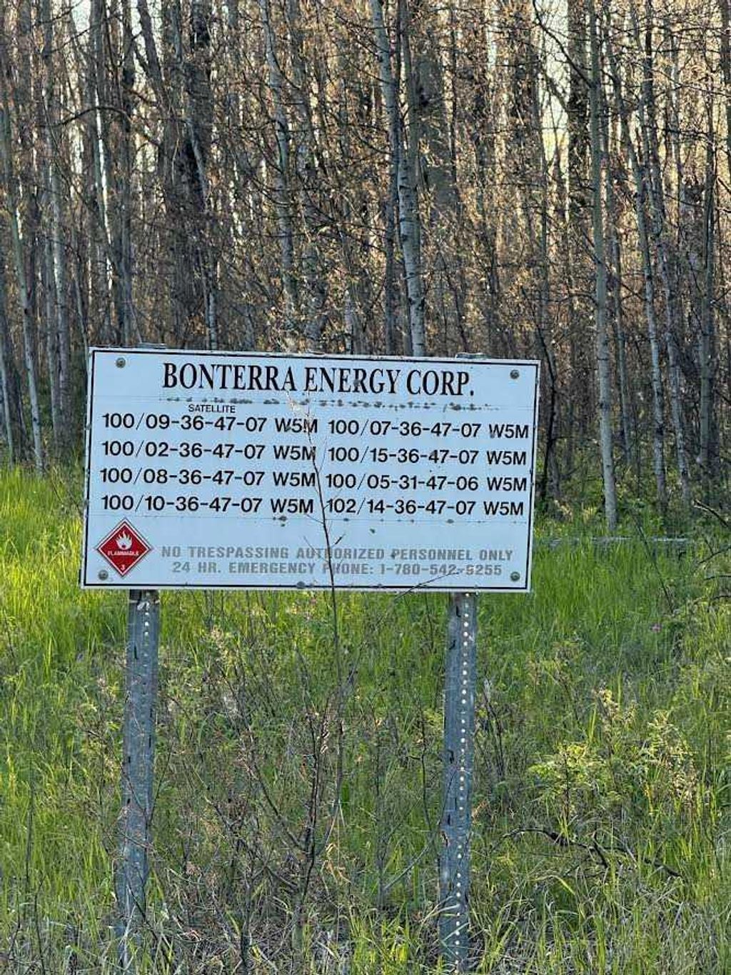 Photo of 616 Hyw, Rural Brazeau County, AB T7A 1R9 (MLS # A2322949)