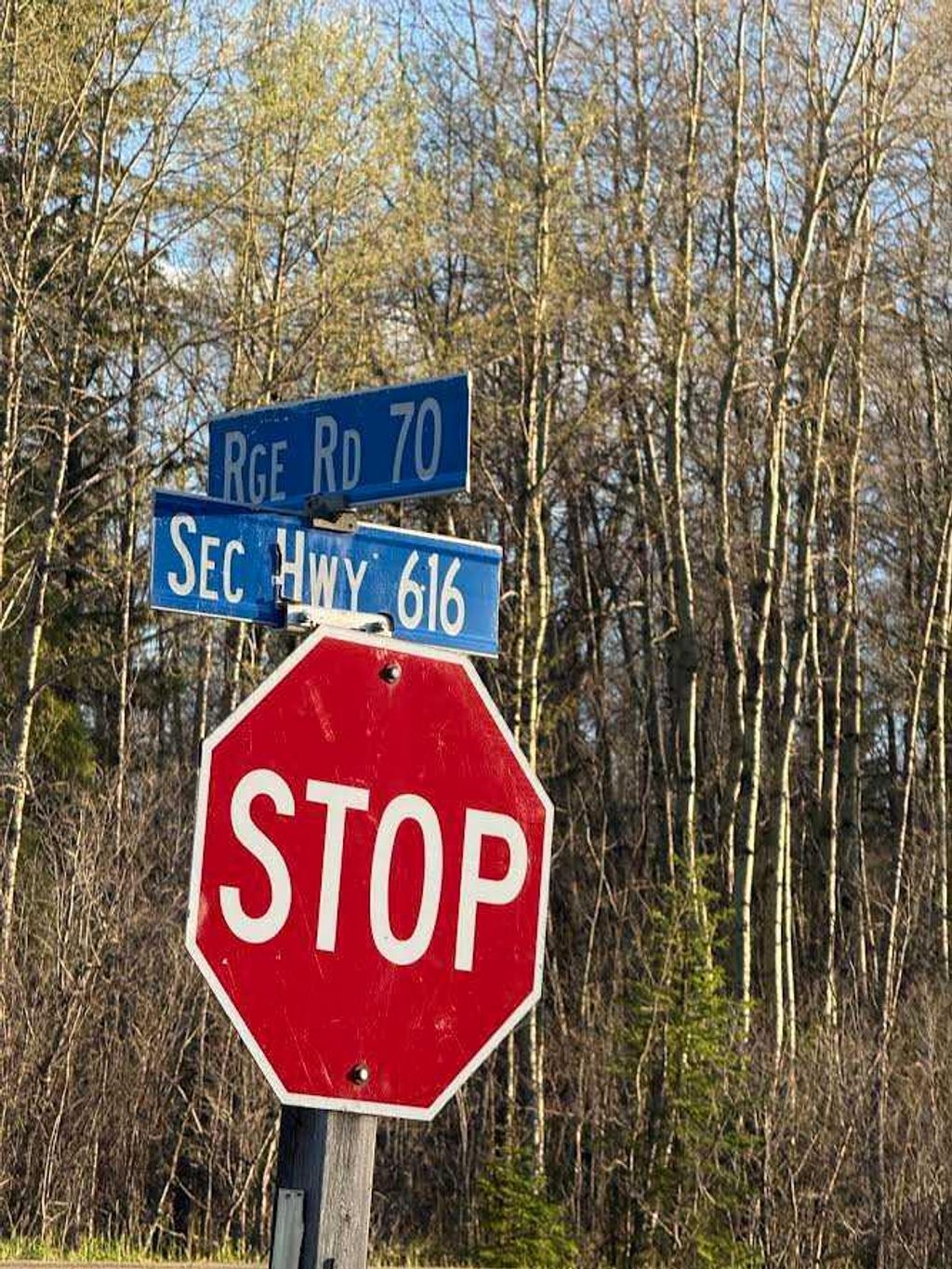 Photo of 616 Hyw, Rural Brazeau County, AB T7A 1R9 (MLS # A2322949)