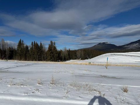 424 LILY Avenue Nordegg AB T0M 2H0