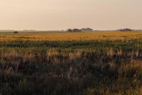 Photo of Parcel 6 Range Road 271 just south of Highway 9., Rural Rocky View County, AB T0M 1G0 (MLS # A2346986)