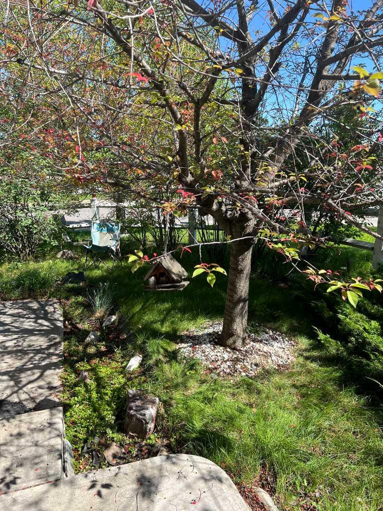 3 New Brighton Drive SE