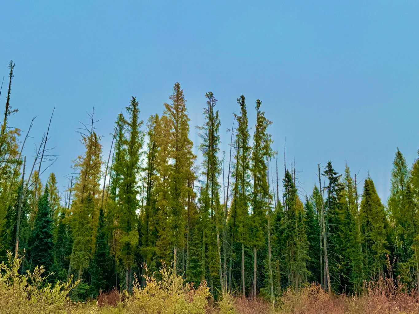 408 Valley View Close