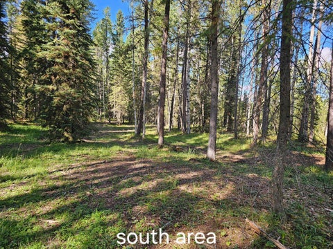 Photo of Pine Ridge Alley, Rural Clearwater County, AB T4T 1A7 (MLS # A2317022)
