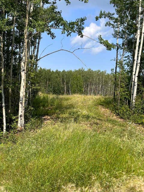 Photo of 67417 McGrane Road Rd #123, Lac La Biche, AB T0A 2C2 (MLS # A2254769)