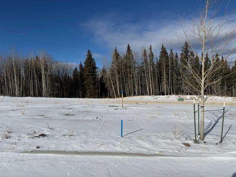 464 LILY Avenue Nordegg AB T0M 2H0