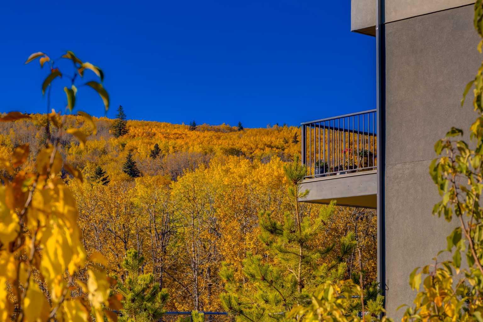 1453 Na'a Drive SW 84