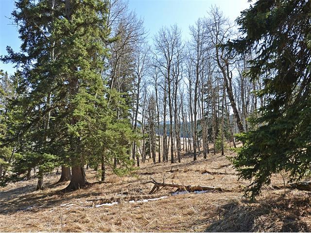15 Kicking Horse Way