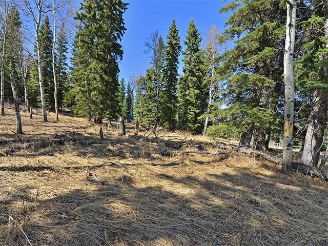 15 Kicking Horse Way