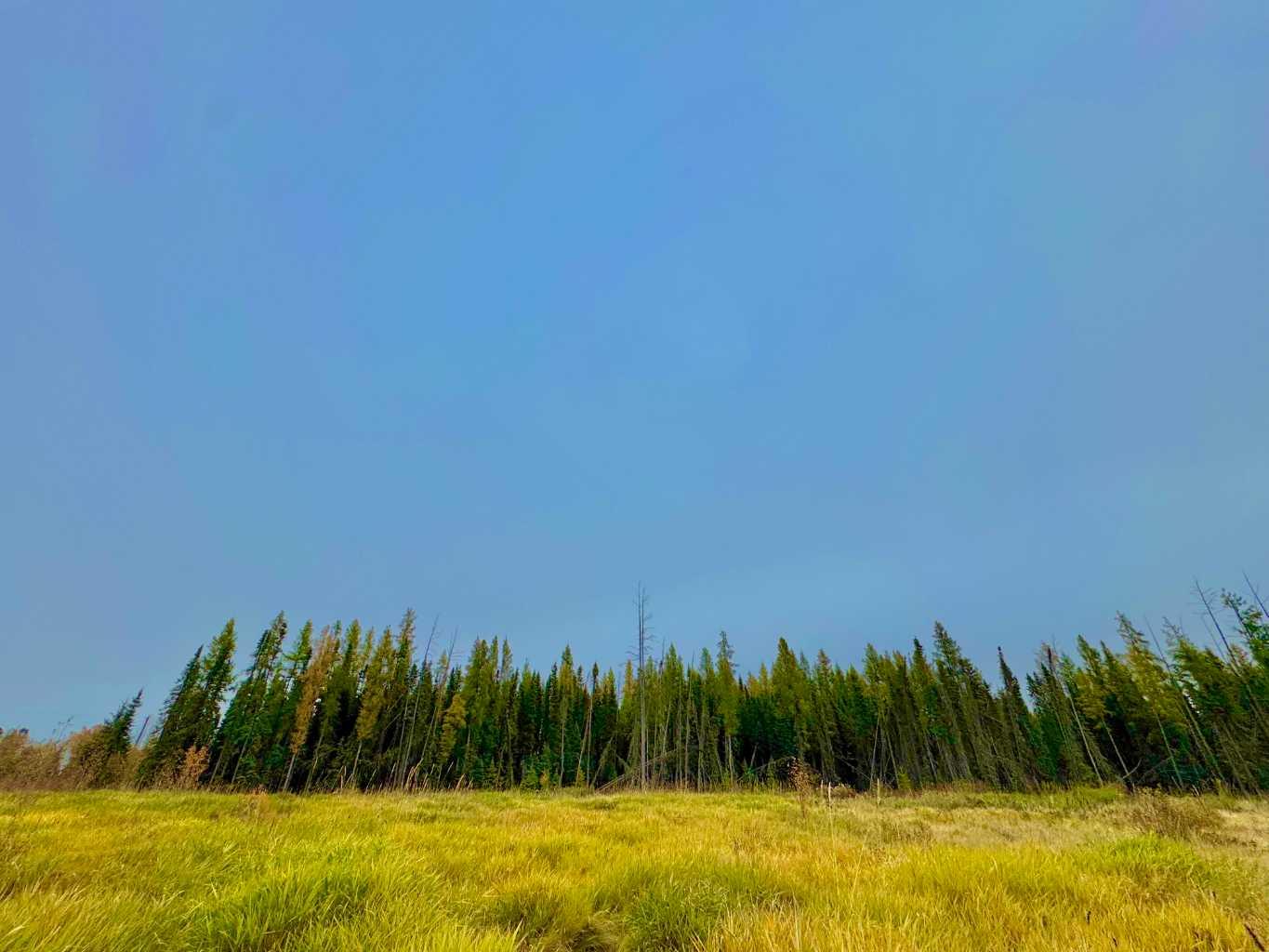 400 Valley View Close