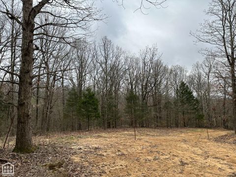 Photo of 0 Raby Rd, Harrisburg, AR 72432 (MLS # 10125686)