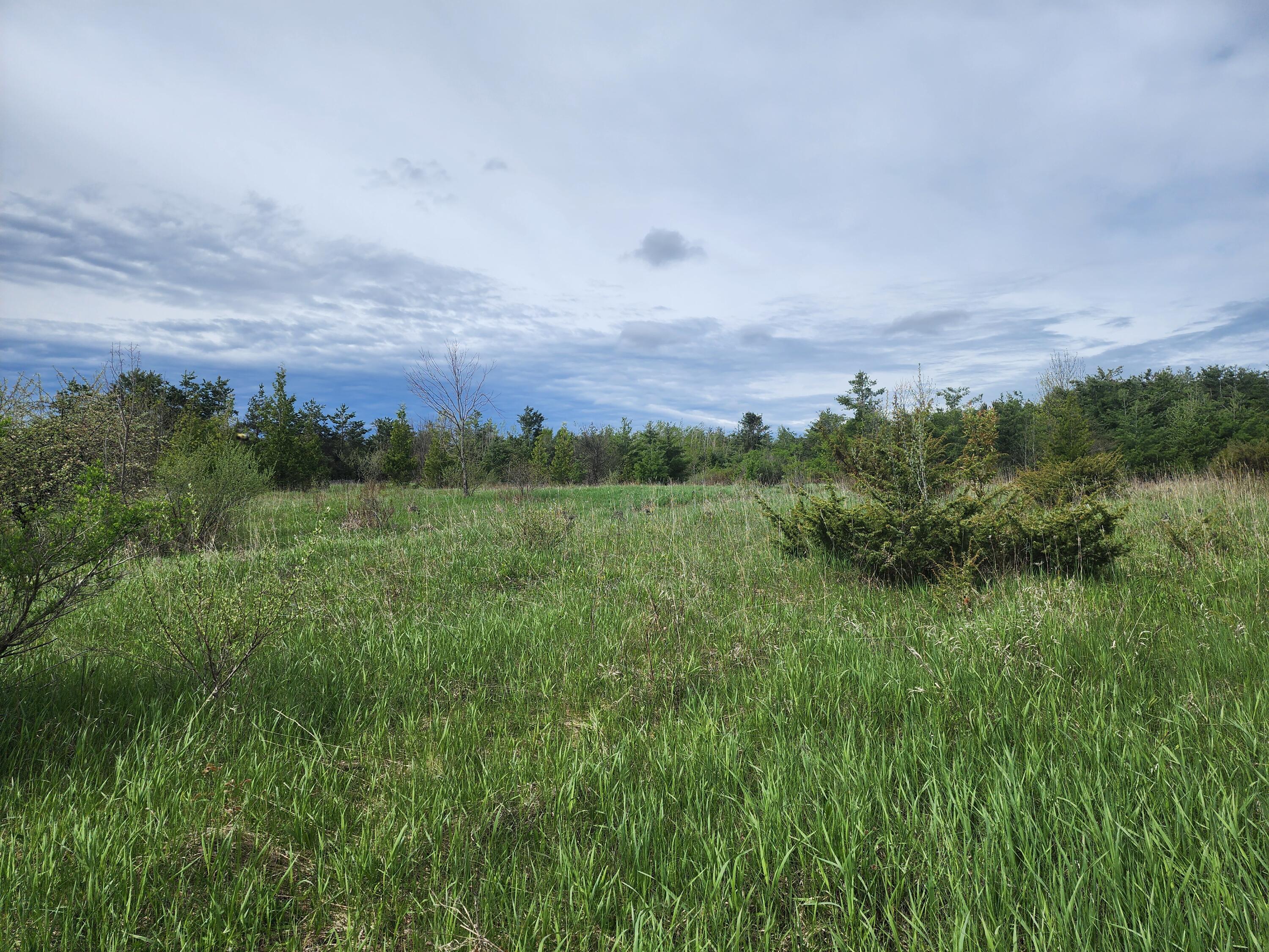 9840 N Straits Highway - Photo 4