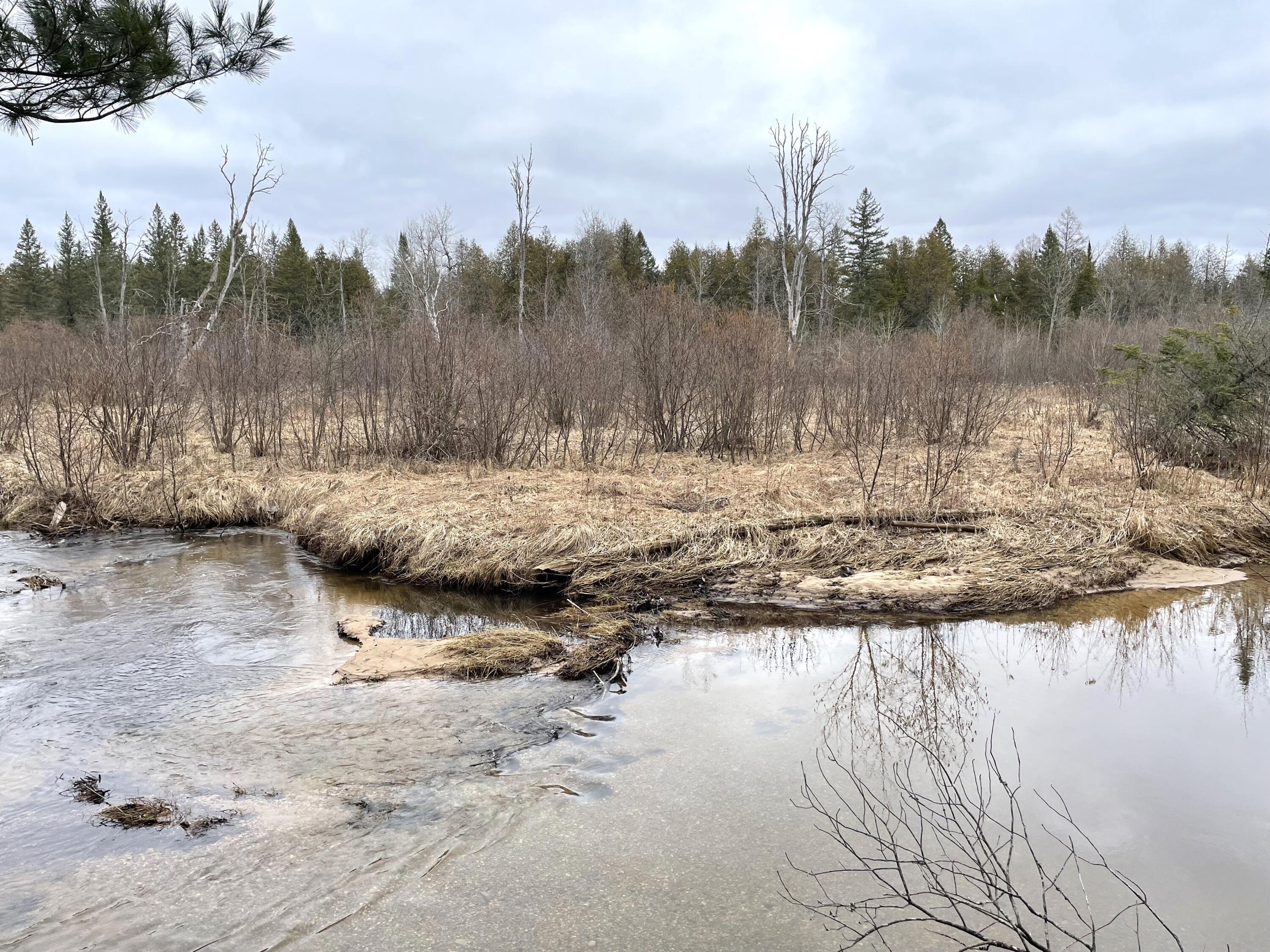 Indian River, Michigan 49749, United States, ,Land,Contingent,61876