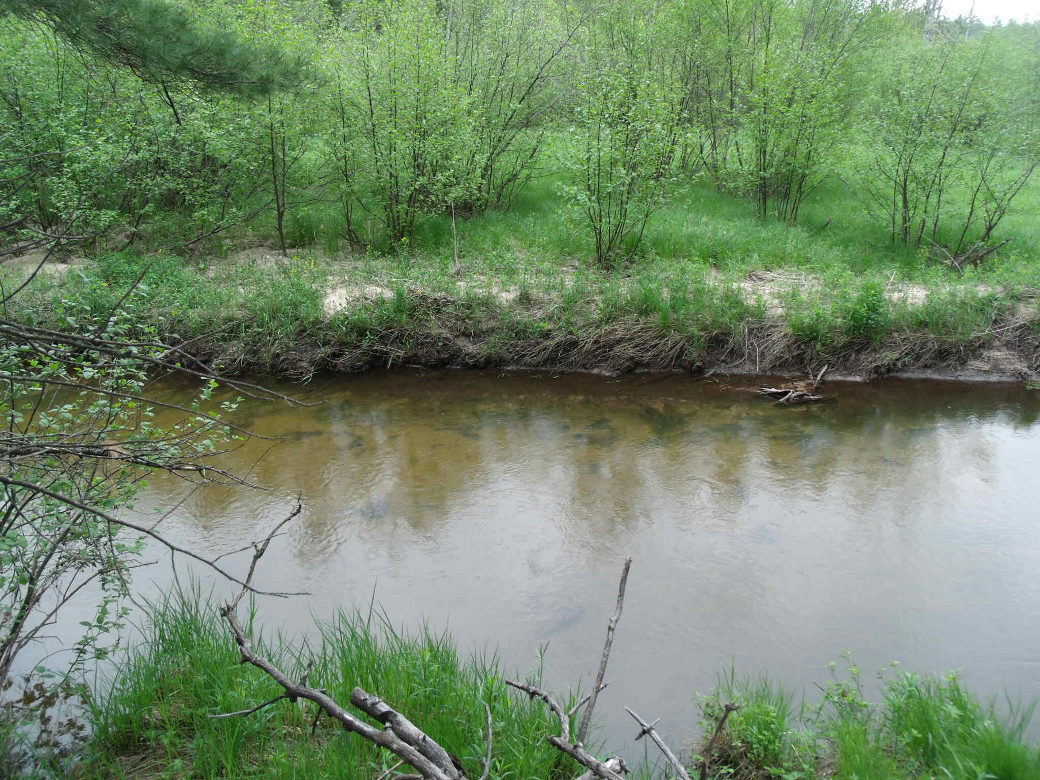 Indian River, Michigan 49749, United States, ,Land,Contingent,61876