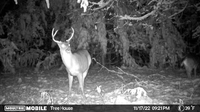 Indian River, Michigan 49749, United States, ,Land,Contingent,61876