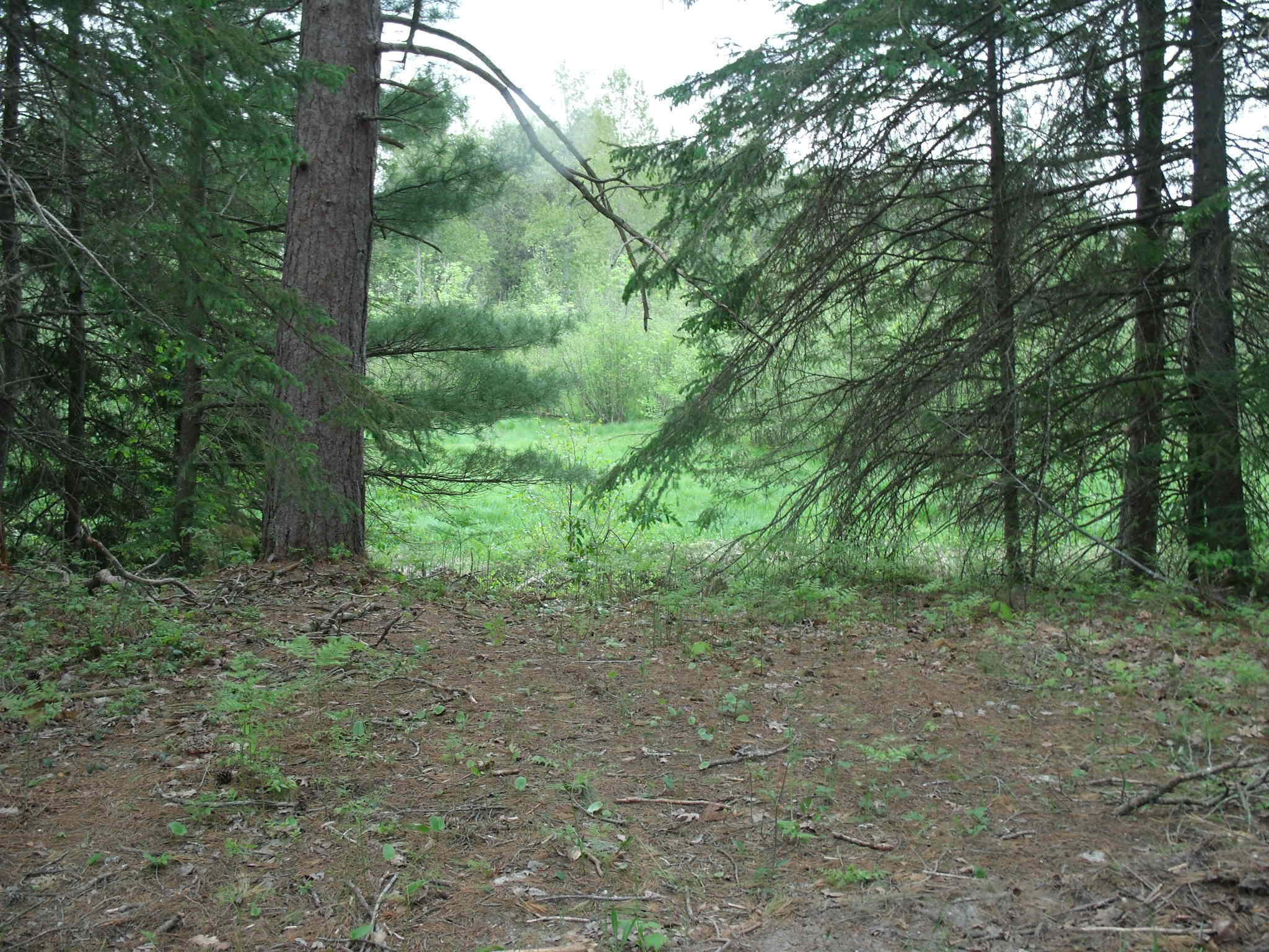 Indian River, Michigan 49749, United States, ,Land,Contingent,61876