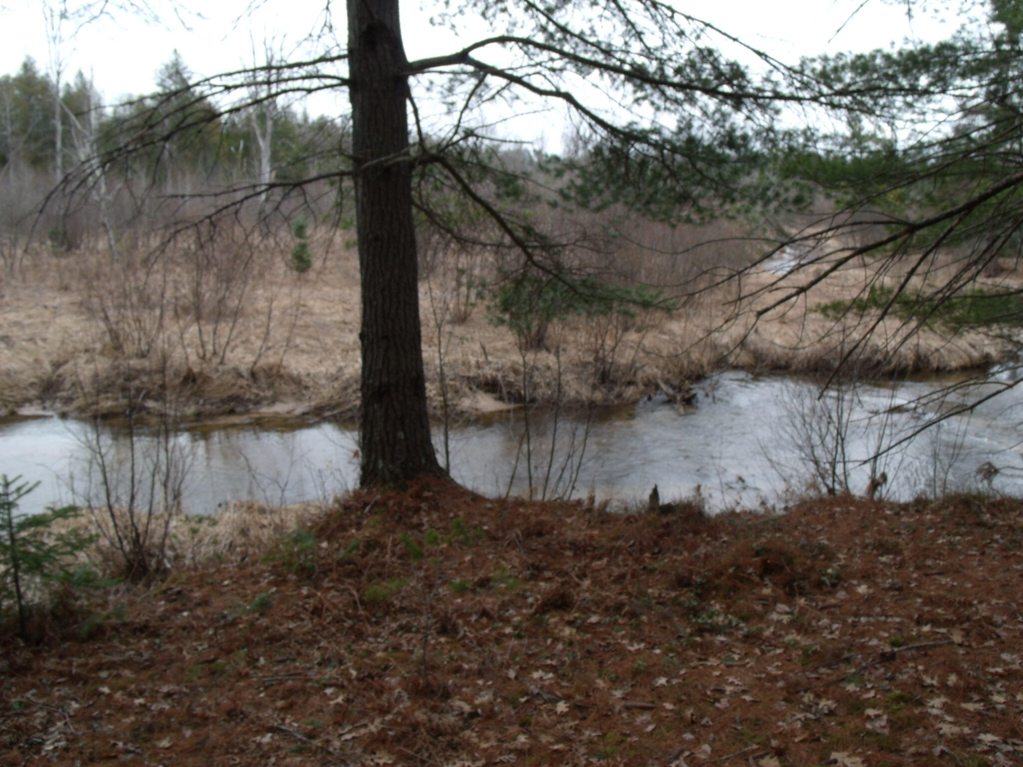 Indian River, Michigan 49749, United States, ,Land,Contingent,61876