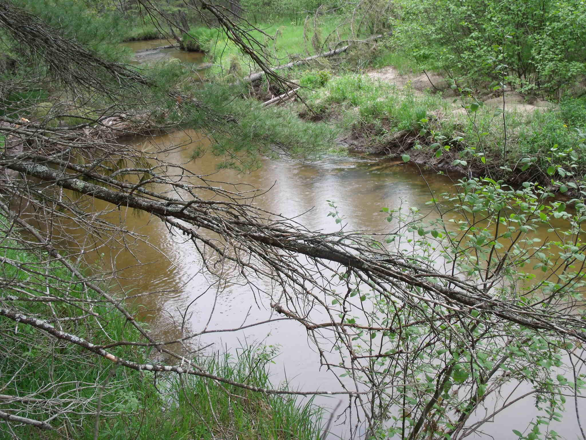 Indian River, Michigan 49749, United States, ,Land,Contingent,61876
