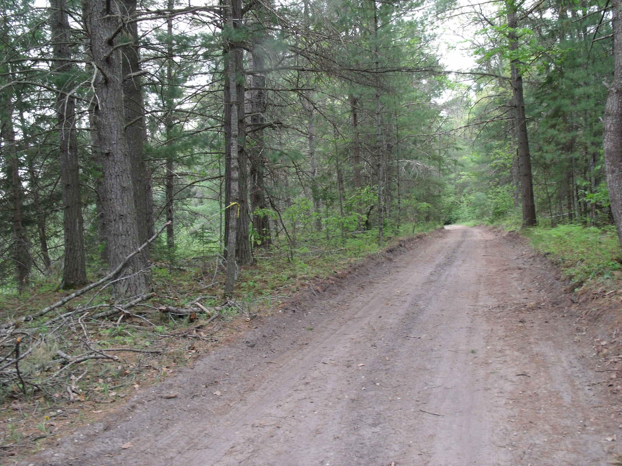 Indian River, Michigan 49749, United States, ,Land,Contingent,61876