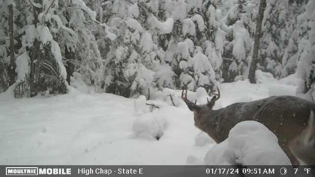 Indian River, Michigan 49749, United States, ,Land,Contingent,61876