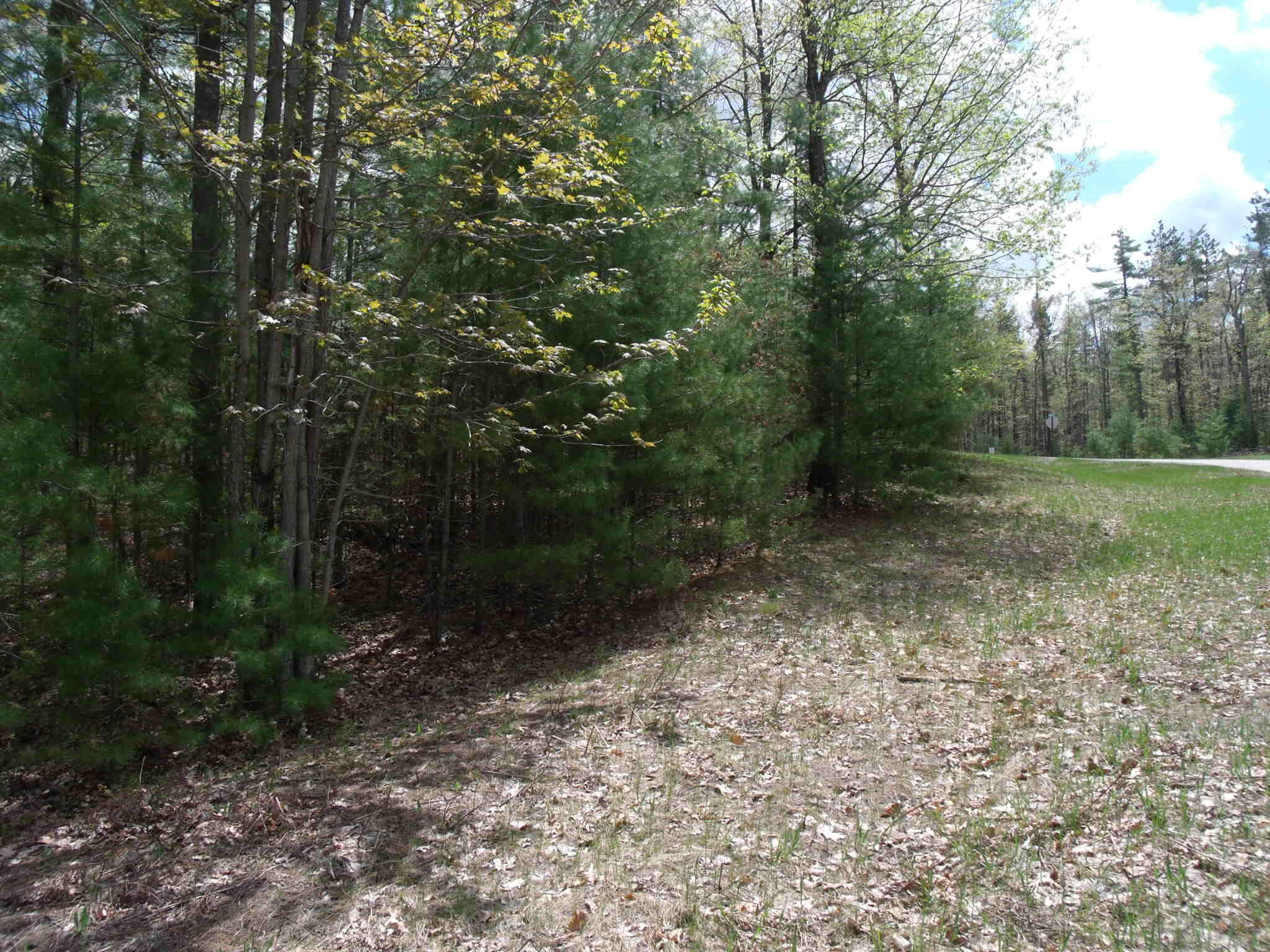 Indian River, Michigan 49749, United States, ,Land,Active,132210