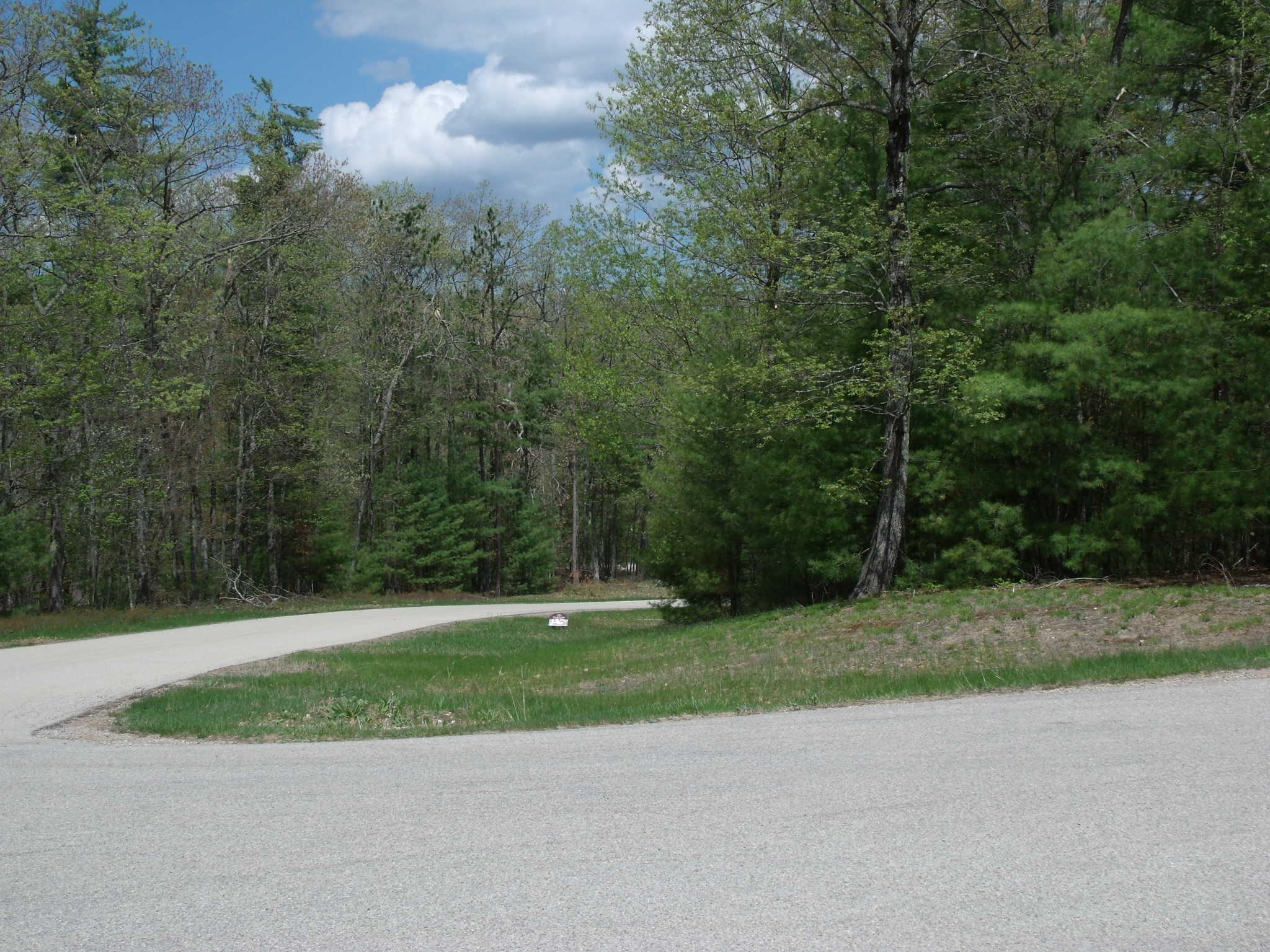 Indian River, Michigan 49749, United States, ,Land,Active,132210