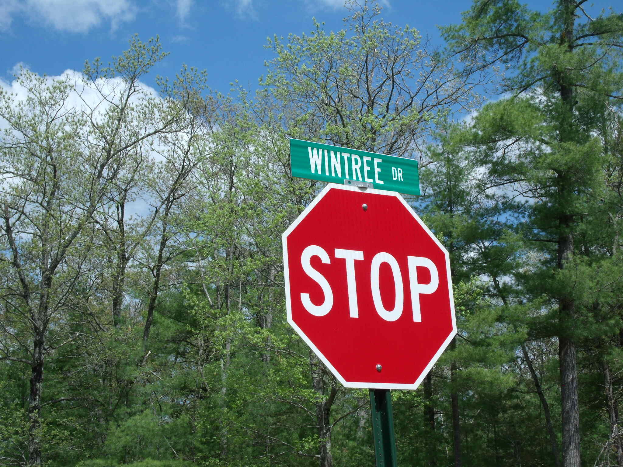 Indian River, Michigan 49749, United States, ,Land,Active,132210