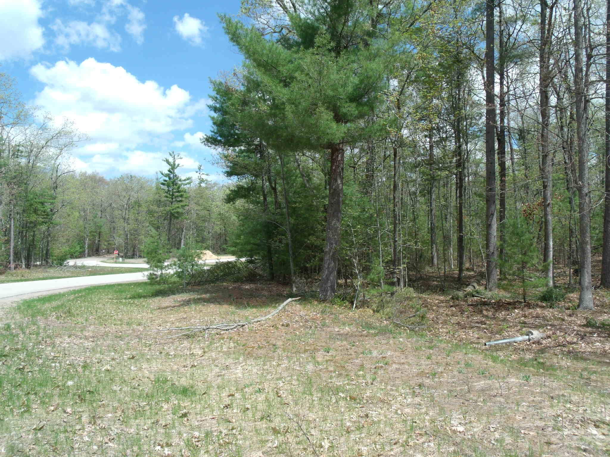 Indian River, Michigan 49749, United States, ,Land,Active,132210