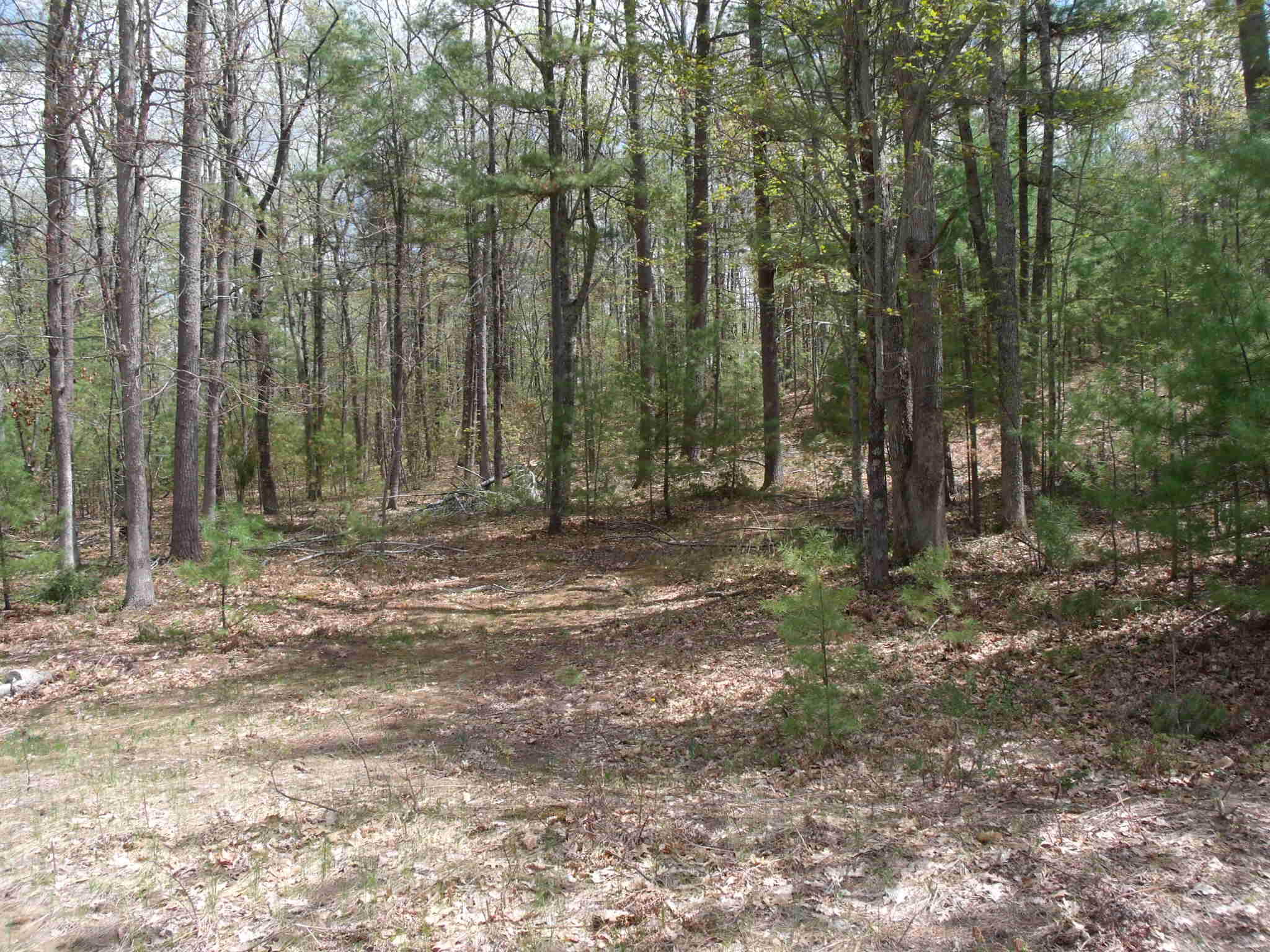 Indian River, Michigan 49749, United States, ,Land,Active,132210