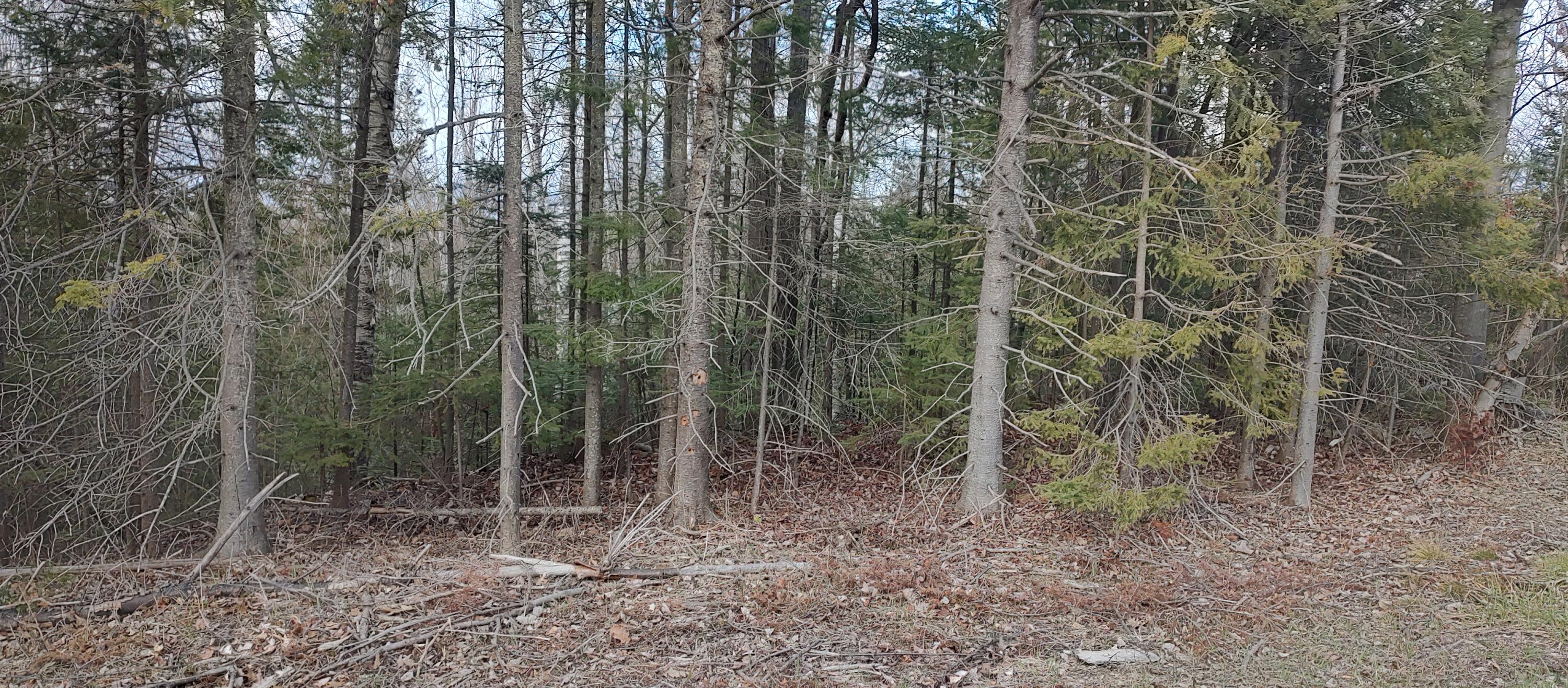 Cheboygan, Michigan 49721, United States, ,Land,Contingent,59032