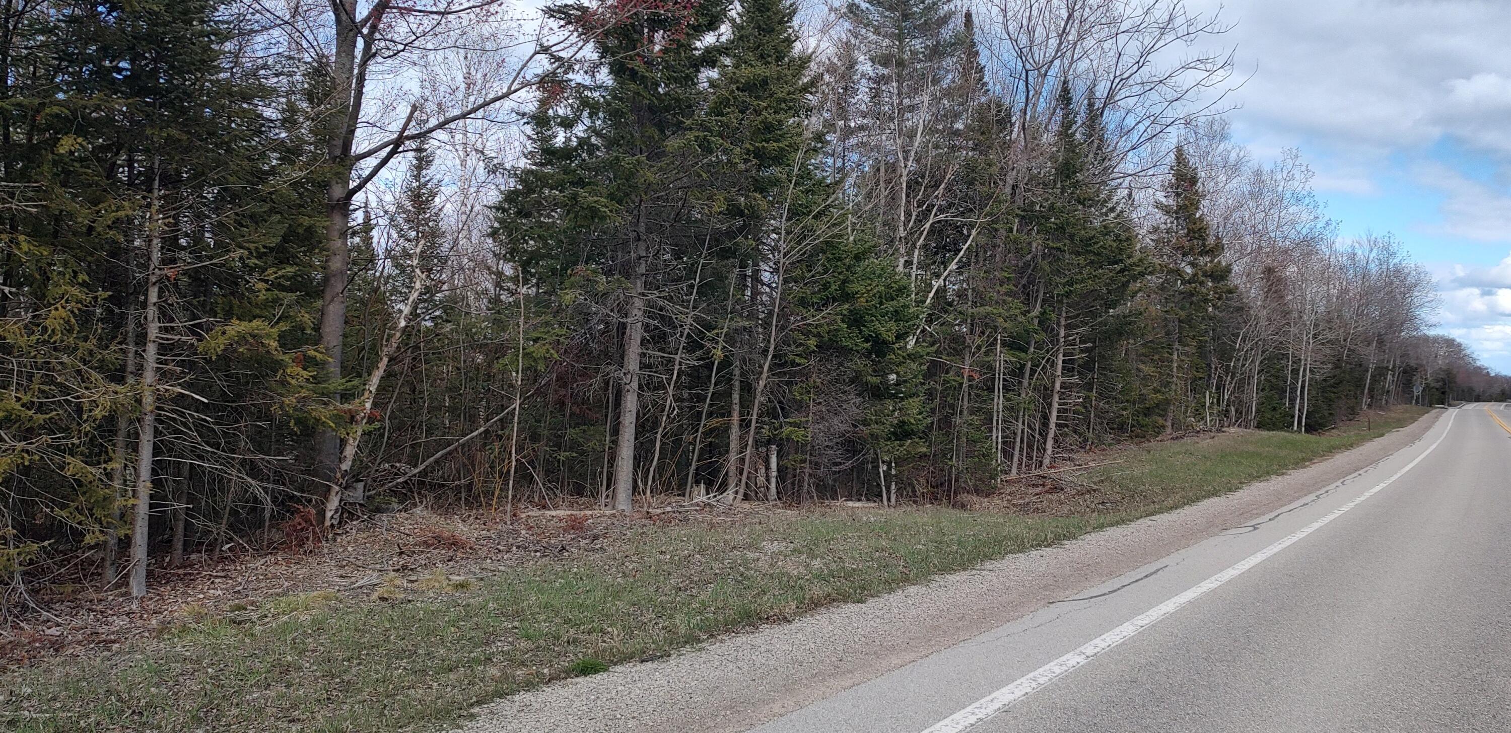 Cheboygan, Michigan 49721, United States, ,Land,Contingent,59032