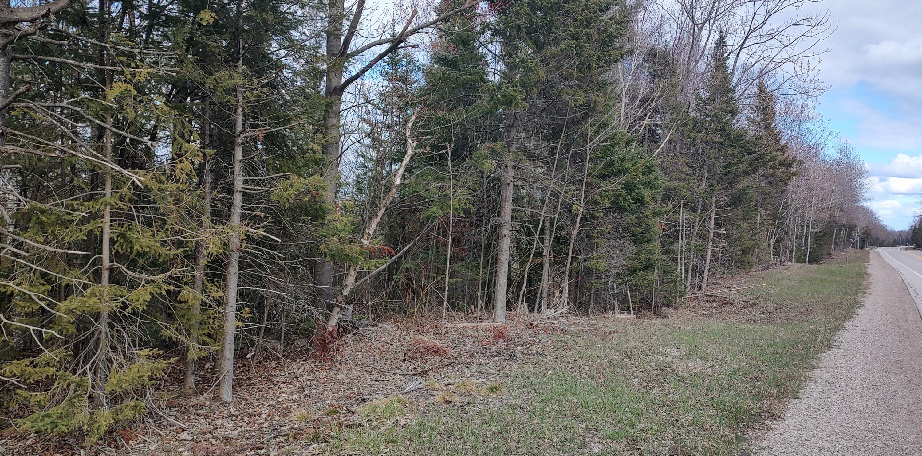 Cheboygan, Michigan 49721, United States, ,Land,Contingent,59032