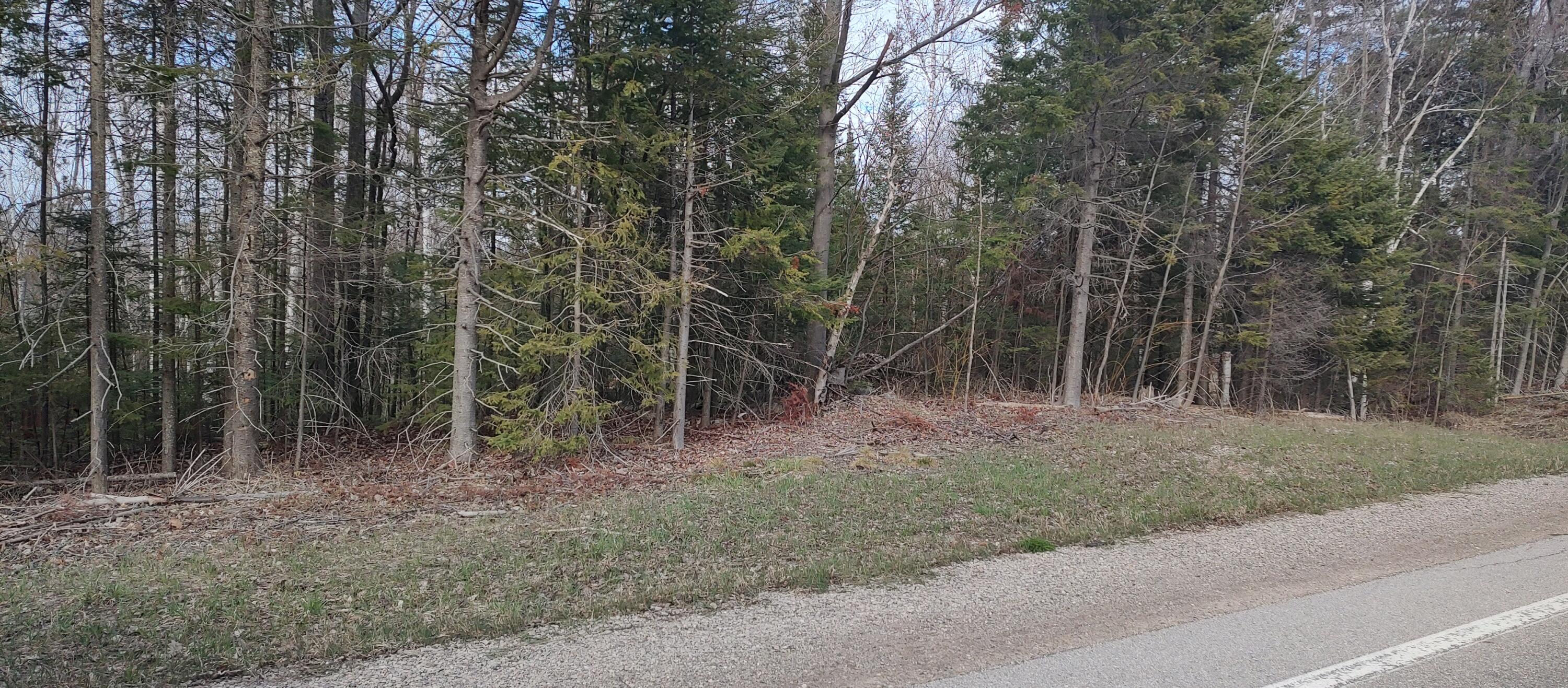 Cheboygan, Michigan 49721, United States, ,Land,Contingent,59032