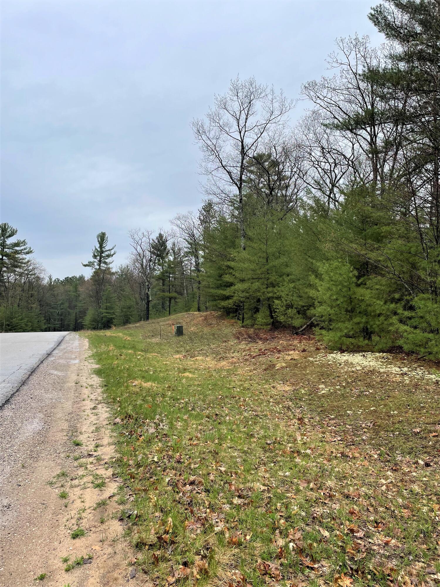 Indian River, Michigan 49749, United States, ,Land,Active,57322