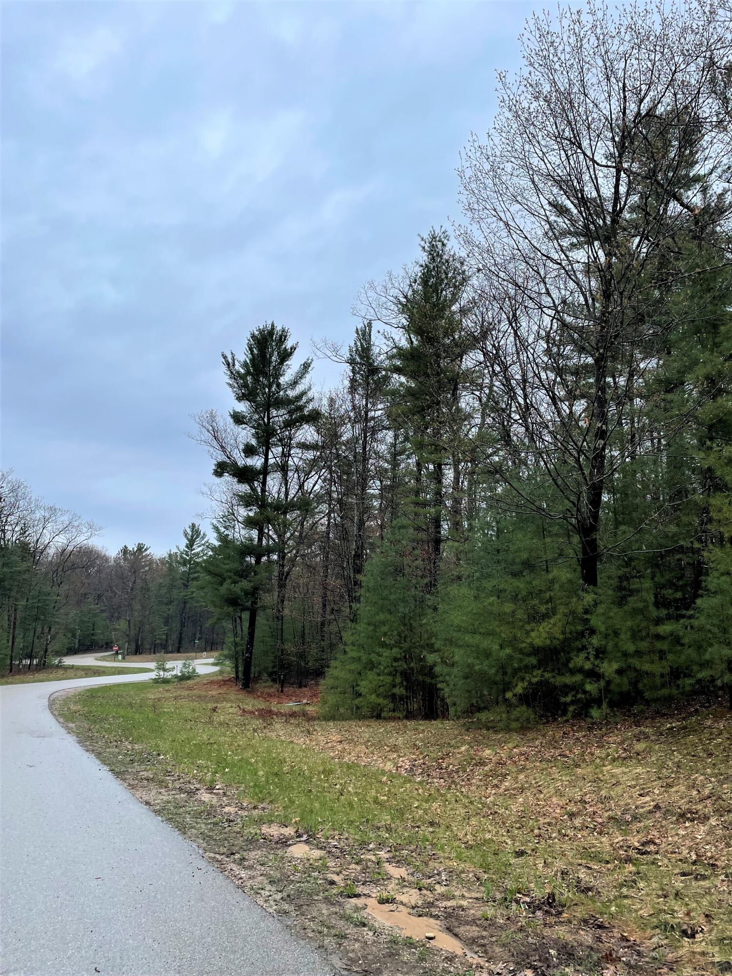 Indian River, Michigan 49749, United States, ,Land,Active,57322