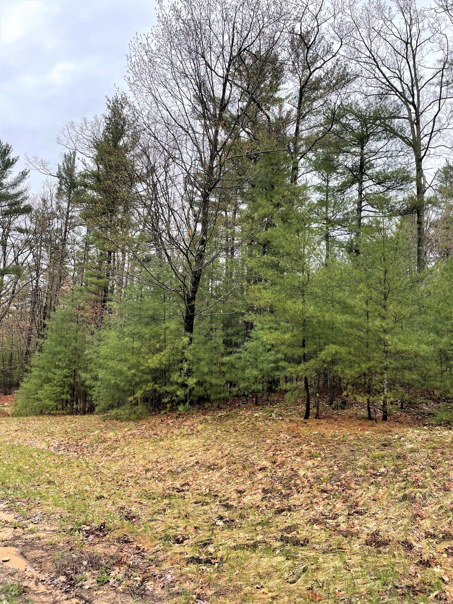 Indian River, Michigan 49749, United States, ,Land,Active,57322