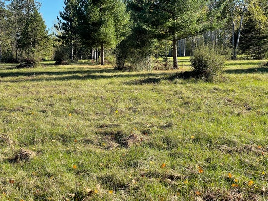 UNIT #4 E SUCKER CREEK ROAD, SPRUCE, MI 48762 - Image 239c633ba92cbdbb05cdb7fd4d76feb5/2239185558