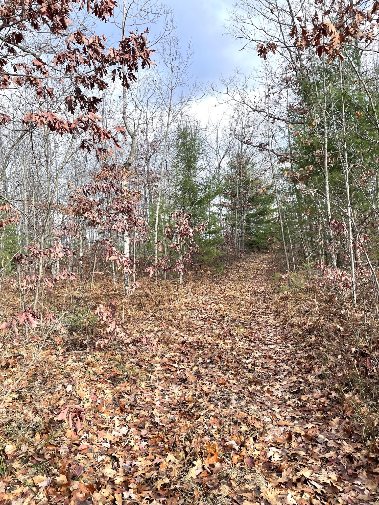 Indian River, Michigan 49749, United States, ,Land,Active,35436