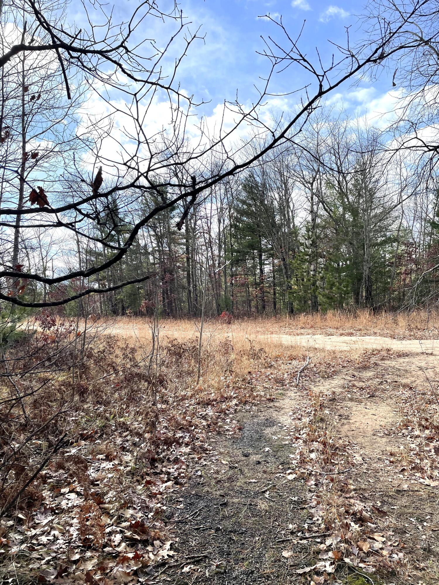 Indian River, Michigan 49749, United States, ,Land,Active,35436