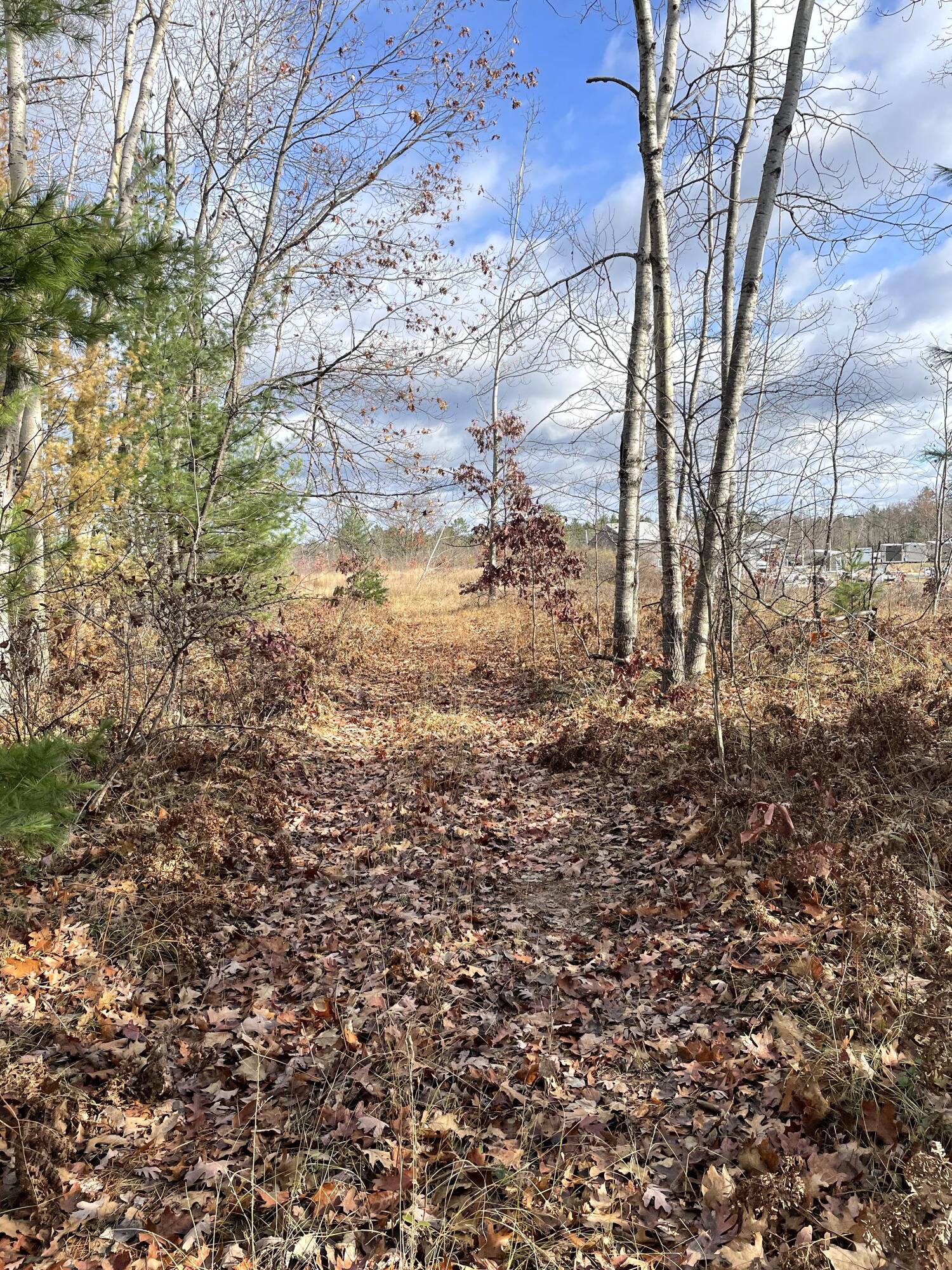 Indian River, Michigan 49749, United States, ,Land,Active,35436