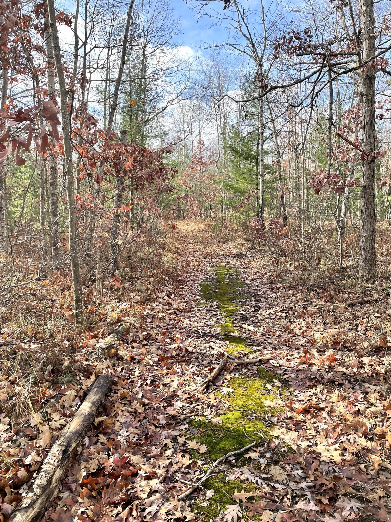 Indian River, Michigan 49749, United States, ,Land,Active,35436