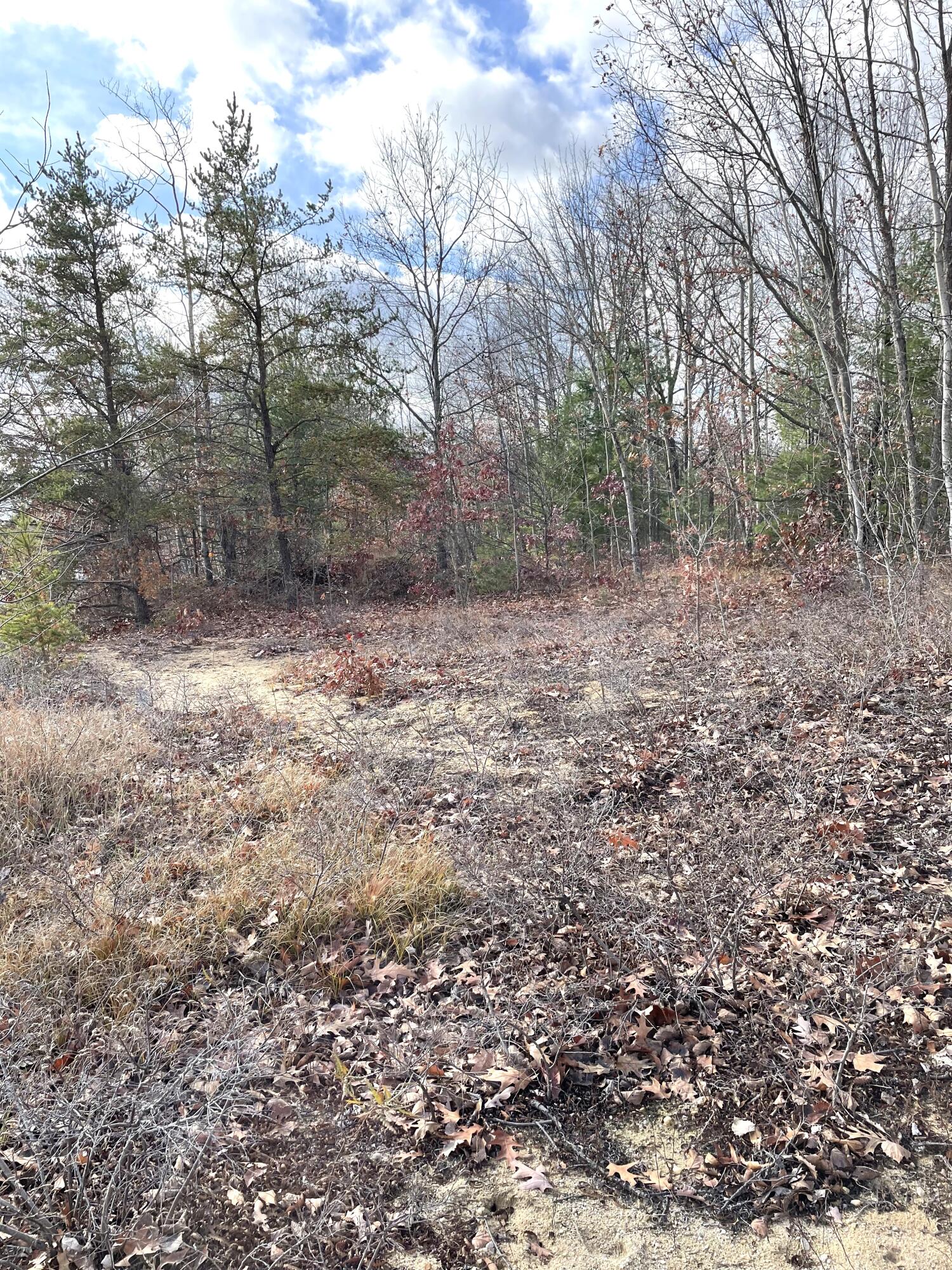 Indian River, Michigan 49749, United States, ,Land,Active,35436