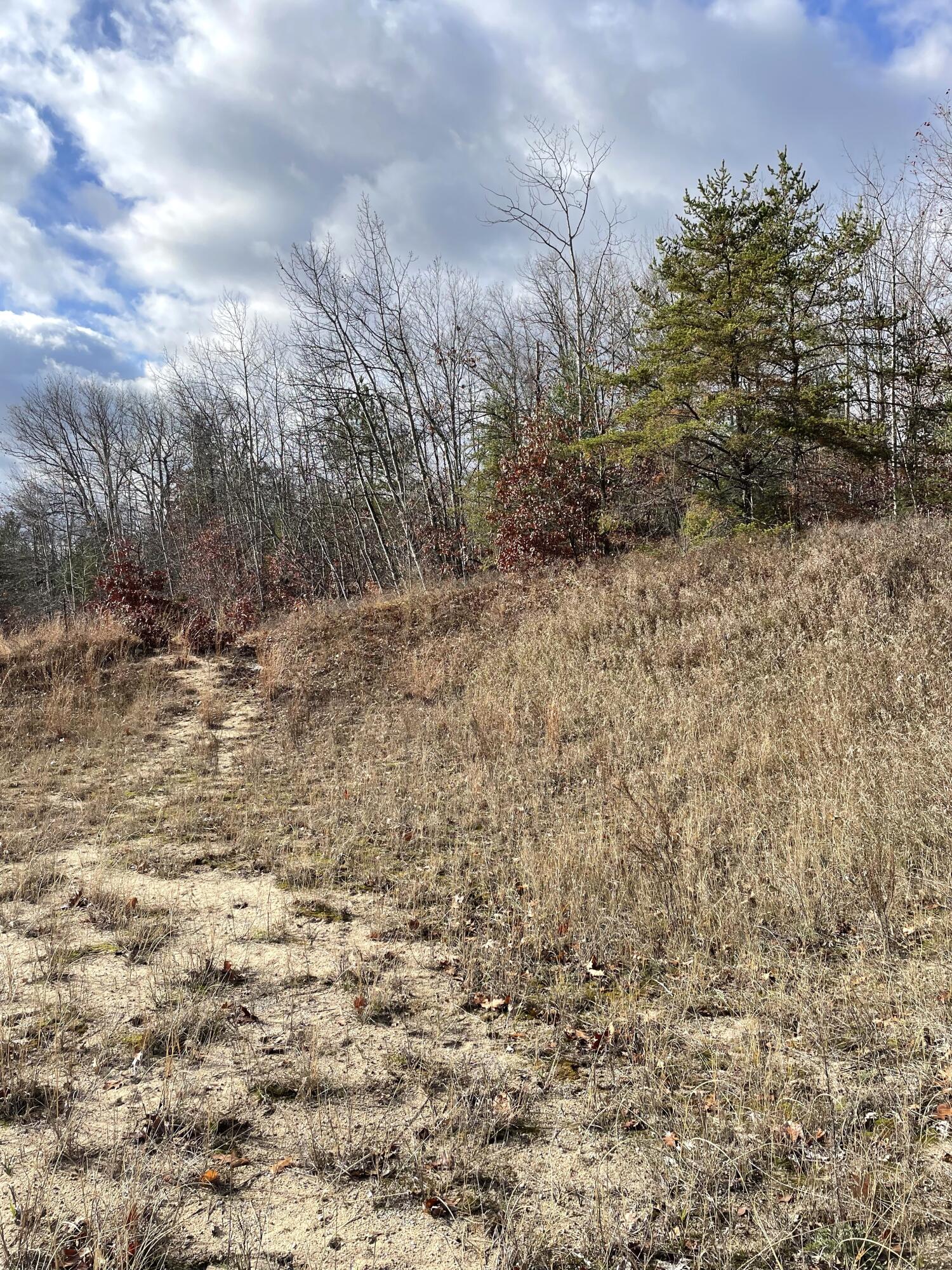 Indian River, Michigan 49749, United States, ,Land,Active,35436