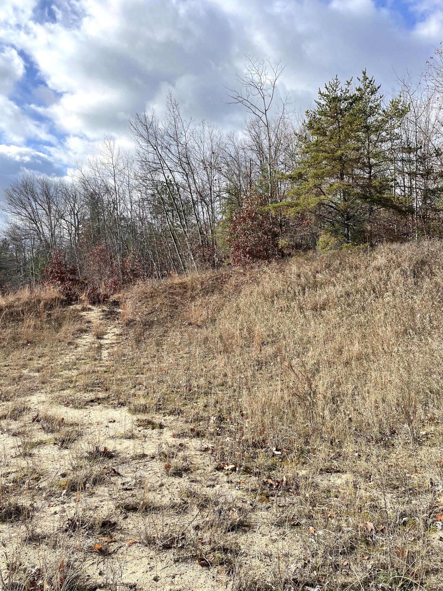 Indian River, Michigan 49749, United States, ,Land,Active,35436