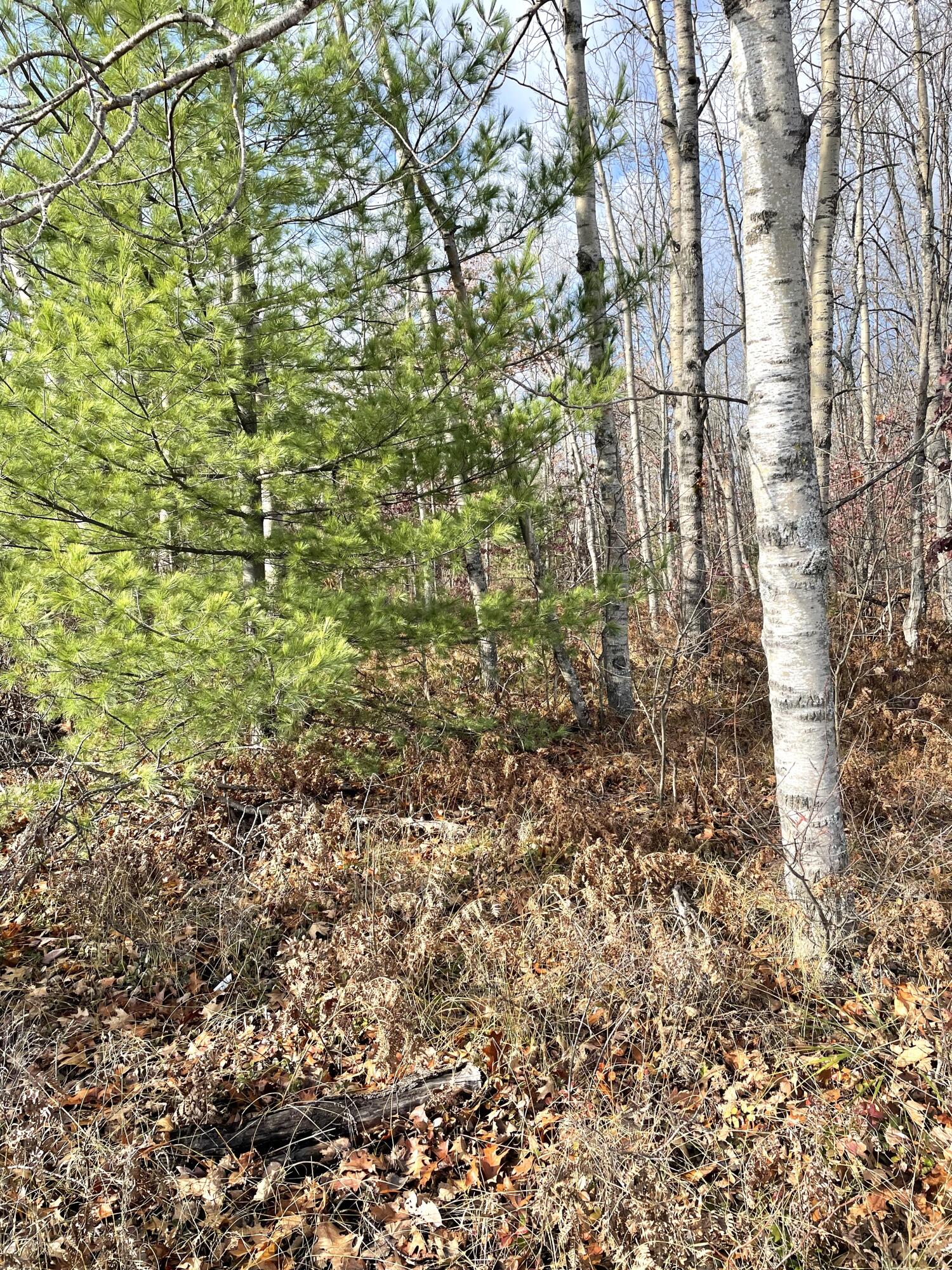 Indian River, Michigan 49749, United States, ,Land,Active,35436