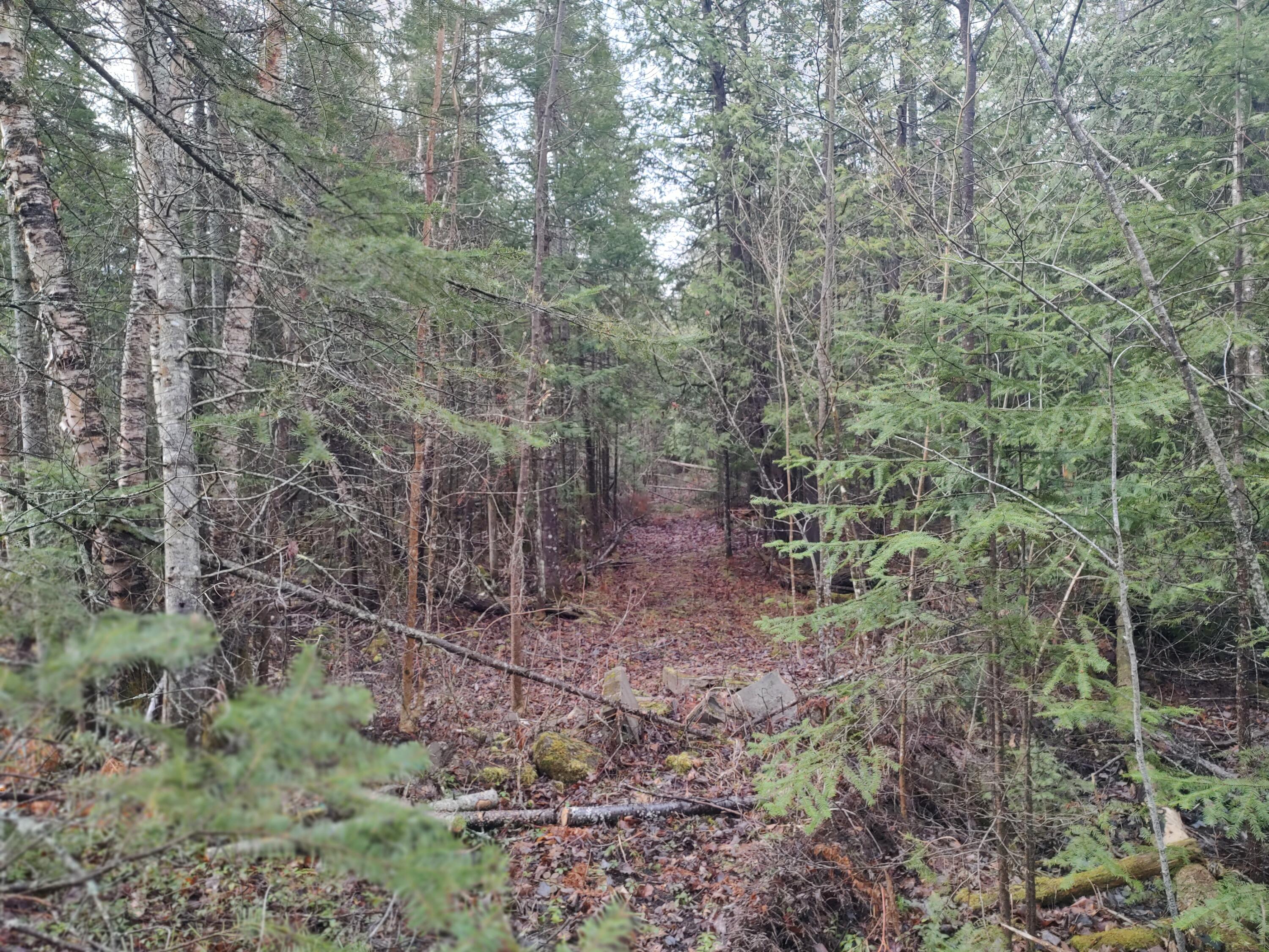 Cheboygan, Michigan 49721, United States, 3 Bedrooms Bedrooms, ,2 BathroomsBathrooms,Residential,Contingent,45594