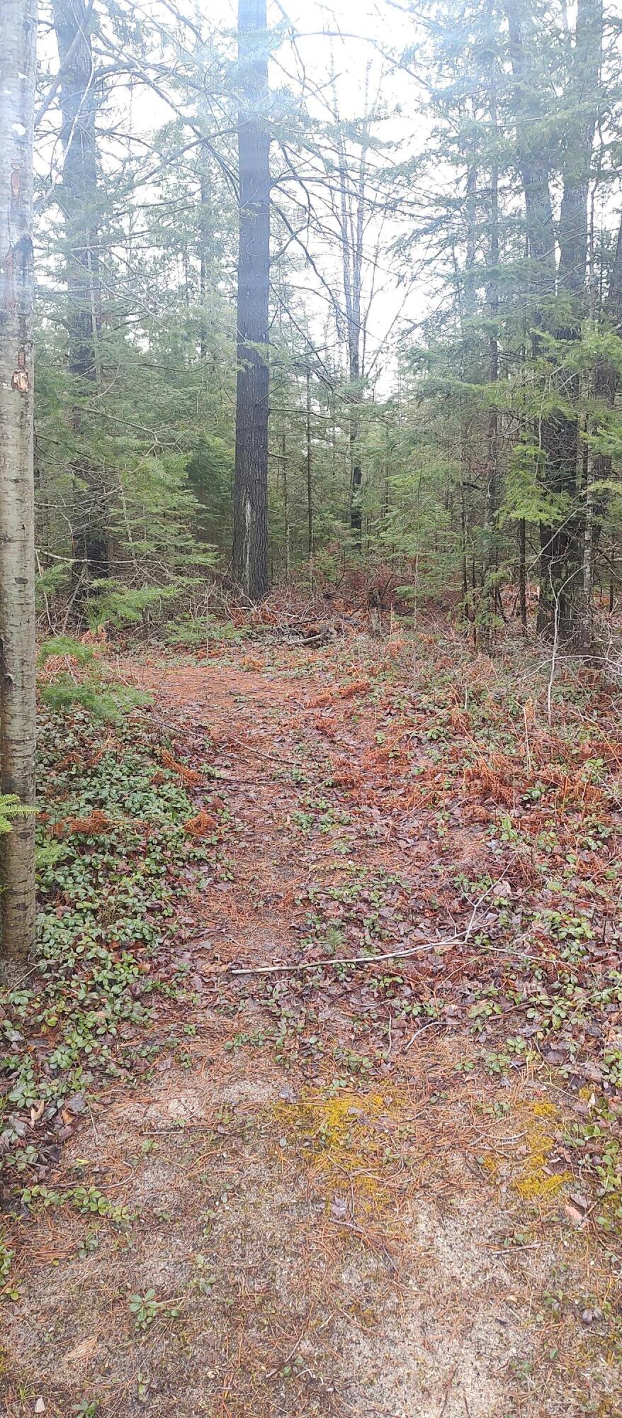 Cheboygan, Michigan 49721, United States, 3 Bedrooms Bedrooms, ,2 BathroomsBathrooms,Residential,Contingent,45594